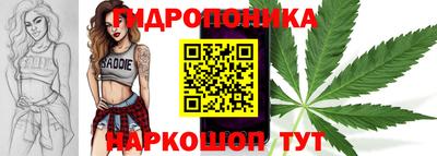 спиды Аргун