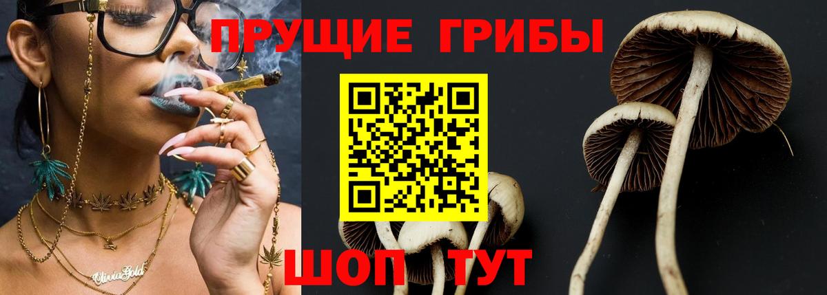 Псилоцибиновые грибы мухоморы Балашиха